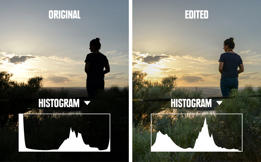 whiting_051618_0124_histogram_comparison2